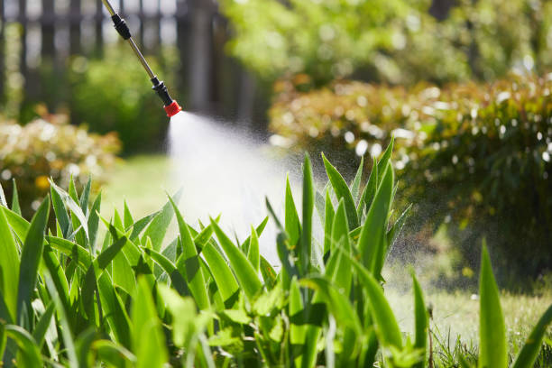 24/7 Emergency Cockroach Control experts in Wichita Falls, TX