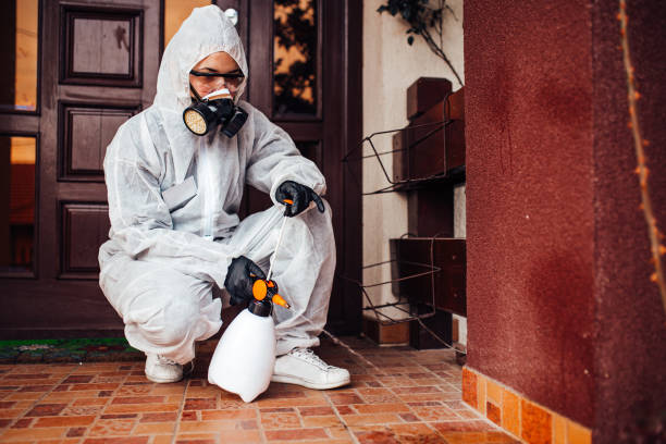 Reliable Cockroach Control contractor in Wichita Falls, TX by Nex Pest Control