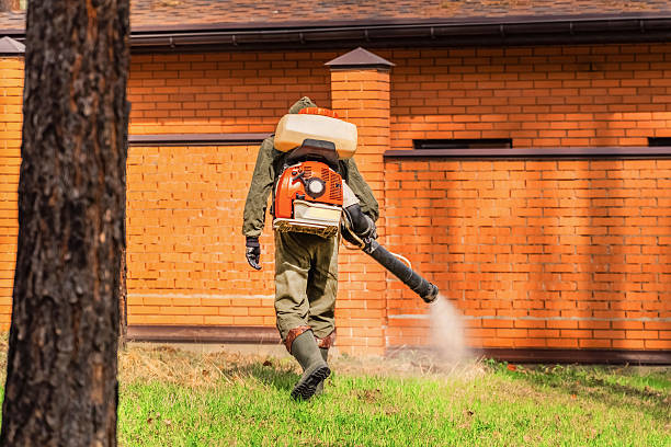 Trusted Termite Control service in Wichita Falls, TX - Nex Pest Control